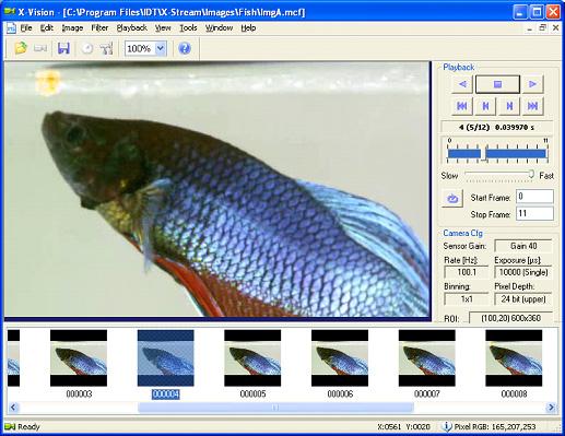 5.20.1. Thumbnail Viewer and Configuration 1. Select View menu > Thumbnails Toolbar. Once an image sequence is opened or acquired, the Thumbnail Toolbar is populated with images. 2.