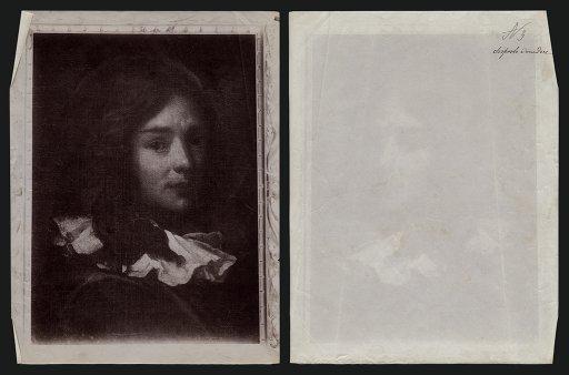 430768 Portrait of a young man, flemish painter XVII century; on the verso handwritten notes disposto a vendere