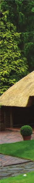 Traditional thatched roof LAPAS