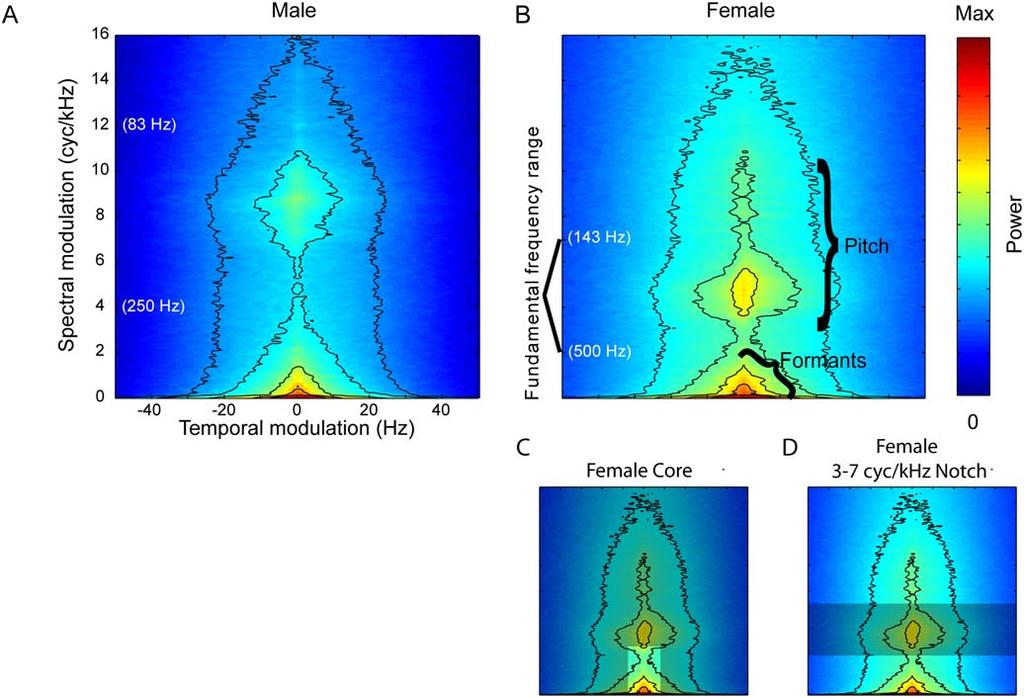 Figure 2. Spectral modulations differ in male and female speech.