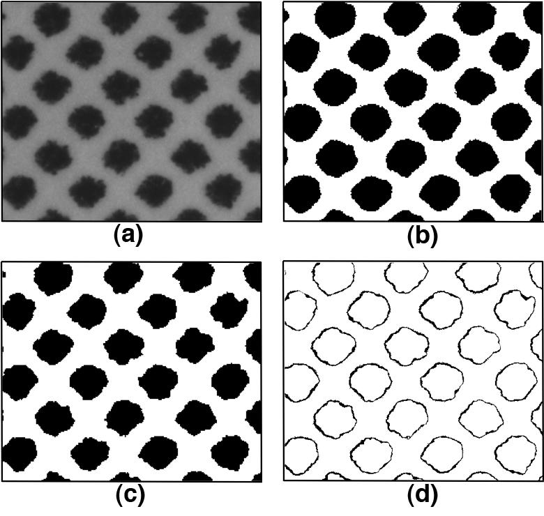 Figure 7. Physical dot gain of black ink prints on coated paper. Solid line: estimated from micro scale image approach. Dashed line: estimated from transmittance spectra.