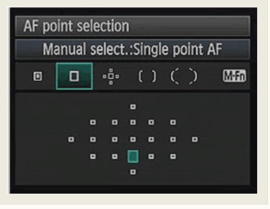 Auto Focus Points (AF Points) Center Point works most of the time and is usually the most accurate and fastest for autofocus When subject is clipped in viewfinder, can