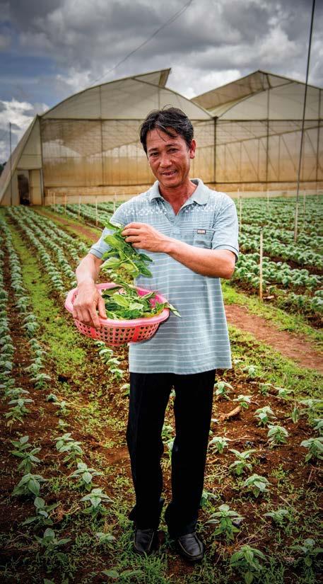 CULTIVATING SOLUTIONS FOR FARMERS In a country like Viet Nam, where almost half the workforce is engaged in agriculture, sustainable economic growth will depend on finding solutions that allow