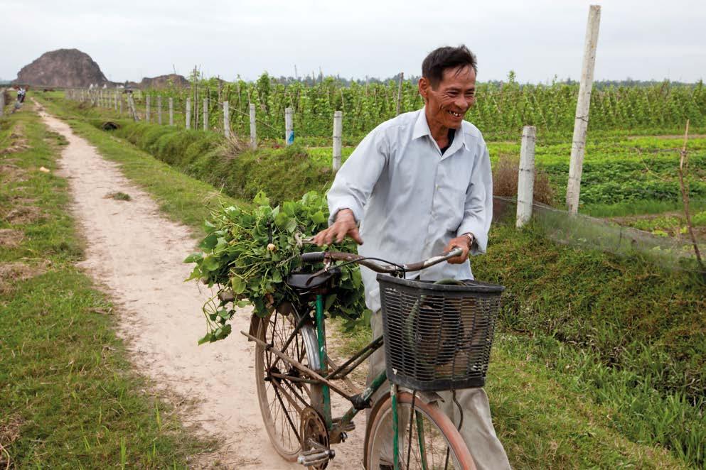 Innovative financing for agriculture and small business will help Viet Nam continue its path toward full financial inclusion. workforce but receives only 10 percent of total financing.