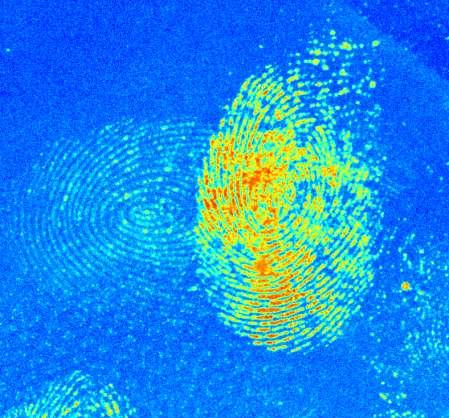 Fingerprints The same image transformed using the most powerful statistical software