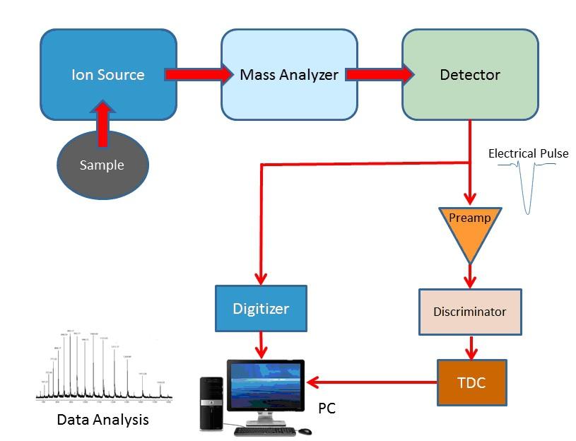Mass Spectrometry and the Modern Digitizer The scientific field of Mass Spectrometry (MS) has been under constant research and development for over a hundred years, ever since scientists discovered