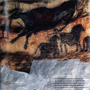 Cave Painting Crisis Mold, bacteria and fungus have developed on the