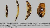 ART of the EUROPEAN PALEOLITHIC Teeth ornaments from Grotte Gazel, 15