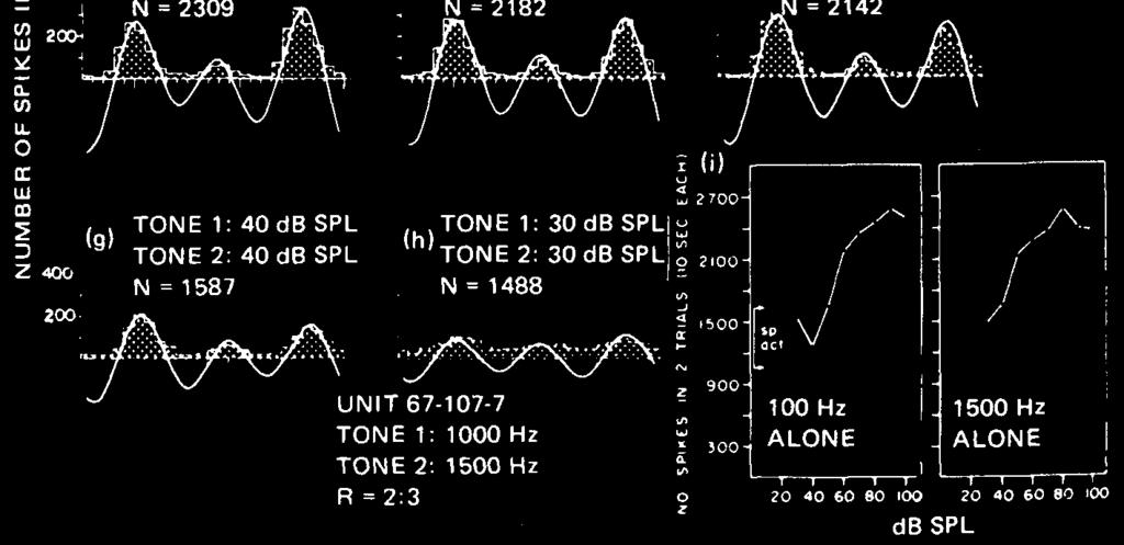 The sum of these neural spikes tends to mimic the wave shape of the local deflections.