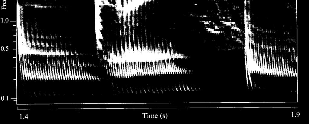 Spectrogram Wide-band