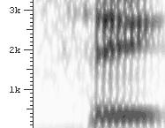 auditory spectrogram looks