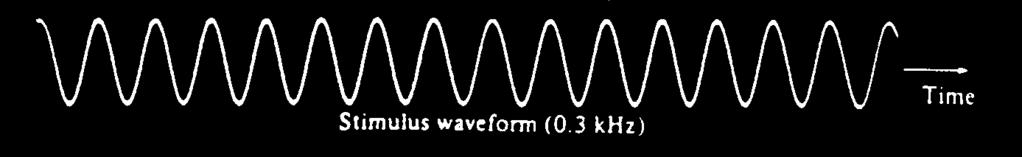 particular waveform times (phase locking). Not the same as firing rate! Play transdct.