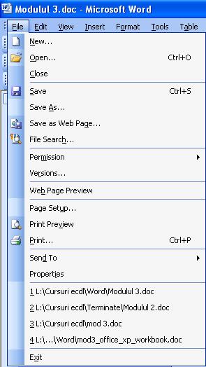 1.3 Crearea unui nou document (folosindu-se un format prestabilit) Un document nou se poate crea aplelând opţiunea New din meniul File Clic pe