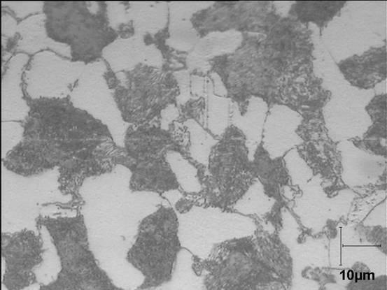 Material : Low carbon steel (AISI 34) Ferrite - Perlite structure