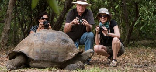We visit the Station where the Galapagos giant tortoise breeding program takes famous Lonesome George (the last surviving specimen of his species) lived for decades.