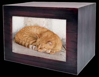 Choose from classic box urn styles or