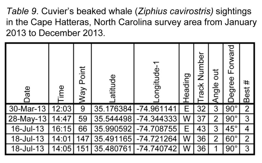 Cuvier s beaked whale (Ziphius cavirostris) (Table 9, Figure 11) Five sightings of 14 individuals occurred while on effort in the Cape Hatteras survey area, and this species was observed in three of