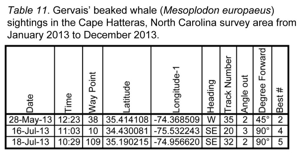 Gervais beaked whale (Mesoplodon europaeus) (Table 11, Figure 13) This year the examination of all of our beaked whale sightings allowed for three sighitngs to be classified to species as Gervais