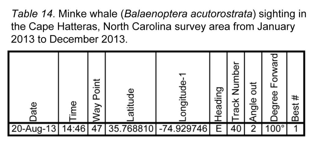 Minke whale (Balaenoptera acutorostrata) (Table 14, Figure 16) A single minke whale was observed in the 70m of water in August of this year.