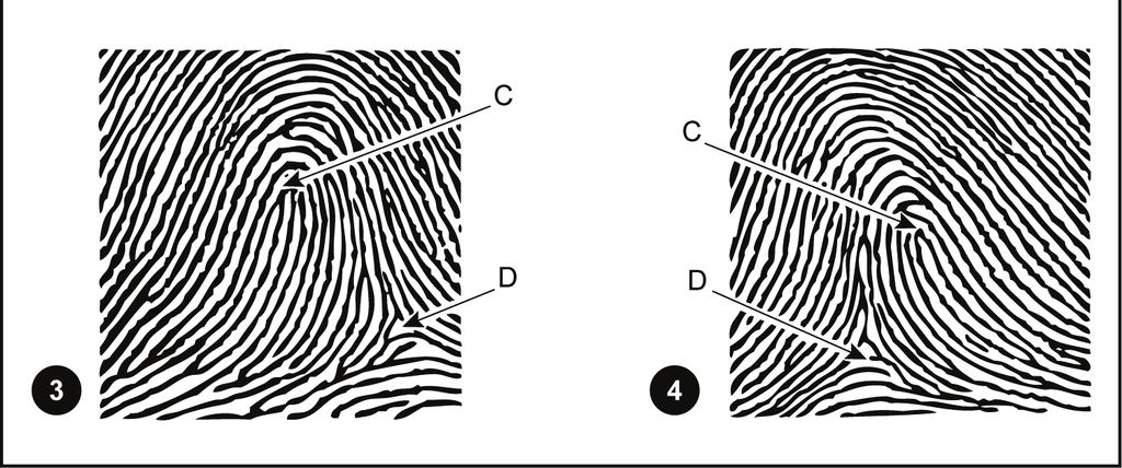 Fingerprinting LOOP 1-23.