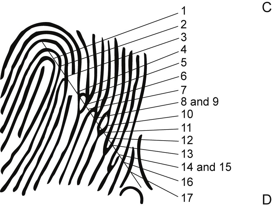 Fingerprinting Figure 1-10. Placement of the reference line 1-27.