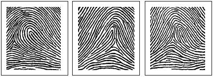 Fingerprinting Figure 1-14. Example of rare pattern where core and delta are the same 1-33.