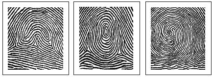fingerprint impressions of an individual.