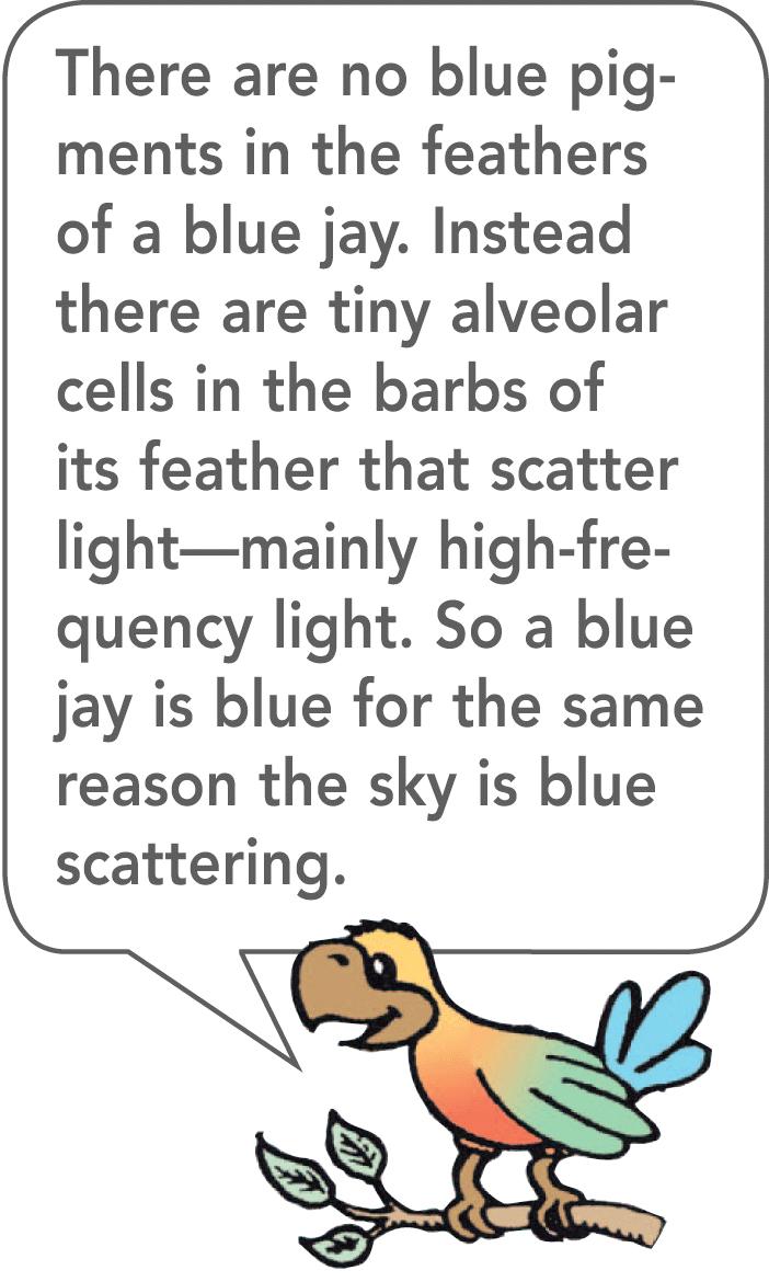 28.8 Why the Sky Is Blue Scattering is a process in which sound or light is absorbed and reemitted in all