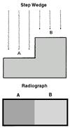 Essentially, radiographic contrast is the degree of density difference between adjacent areas on a radiograph.