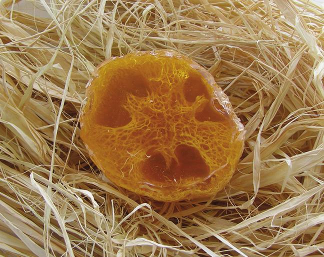 Honeycomb Loofah Ingredients: 8 oz. clear glycerin soap base 2 tsp.