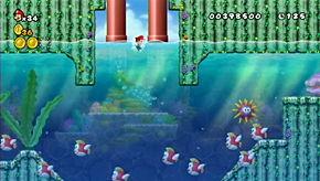 You'll need to freeze the large and small fish to the right of the pipe to creating floating fish-cubes on the surface. Hop on these makeshift platforms to get to the coin.