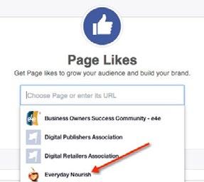 THEN, CLICK ON PAGE LIKES NOW, SELECT YOUR FACEBOOK PAGE, You re now looking at the Facebook