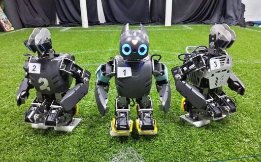 Fig. 1. Grid division of the Ground to Localize in Cooperation Between Robots. In year 2016, the development of robots are focus in walking gait on artificial grass.