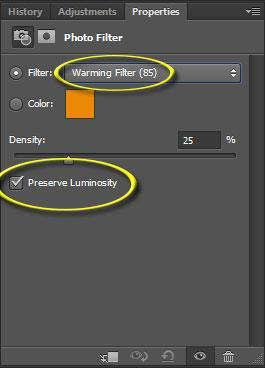 * Be sure that Preserve Luminosity is selected; you can keep the Density set to the default of 25%. If you decide to increase the Density it will add more color to the image. Figure 103.