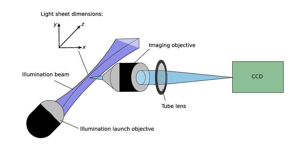 Light sheet dimensions: Y Z maging objective llumination beam Tube lens llumination launch objectve Figure 1. llumination and detection geometry of a SPM.