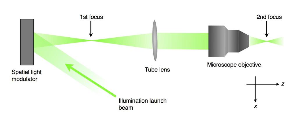 2nd focus Spatial light modulator Tube lens io Microscope objective z llumination launch beam x Figure 2. Schematic of the illumination beam optics in our prototype Adaptive-SPM system.