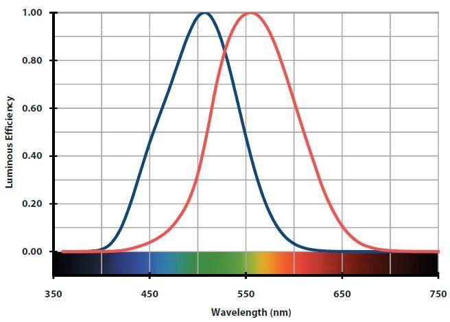 light levels below 0.001 cd/m 2 (1). The range between these values is a transitional stage referred to as mesopic vision, which utilizes both cones and rod photoreceptors.