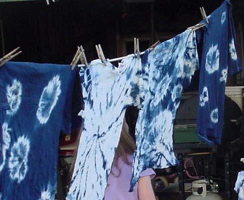 This is a series of three dyeing experiences. You can use one dye process on its own, or try several to create color charts and opportunities for hypothesizing, comparing, and contrasting.