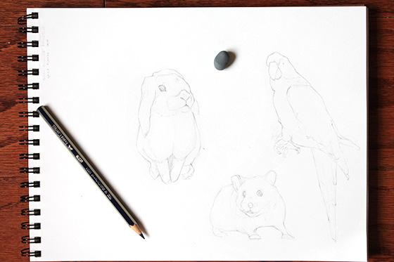STEP 2: Using our sketch made up of basic lines as a guide, you can now start to outline the shapes of each animal and