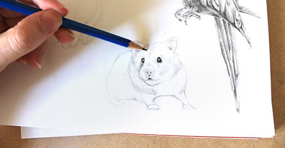 underneath its mouth and on its legs. Keep drawing a few darker strokes and shading the bunny, but try not to overwork the drawing so that some parts of the fur remain blank.