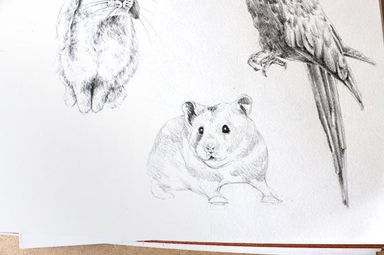 We will begin the same way we did with our two previous drawings: By defining the larger areas of shadow. To do this, use a 2B pencil and shade places like the ears, snout, eyes and spots on the fur.