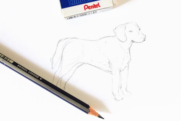 If you wish to, you can draw some quick 5-minute study sketches in your sketchbook or sketchpad of different poses and angles.