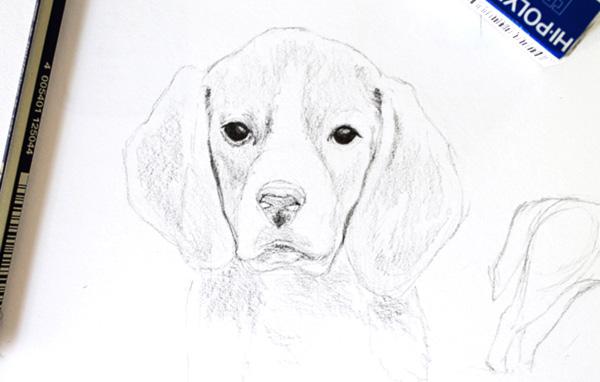 Use a dark pencil (such as a 6B) to shade the eyes and snout.