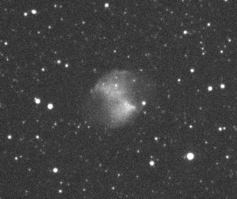 from the IC5146 images.