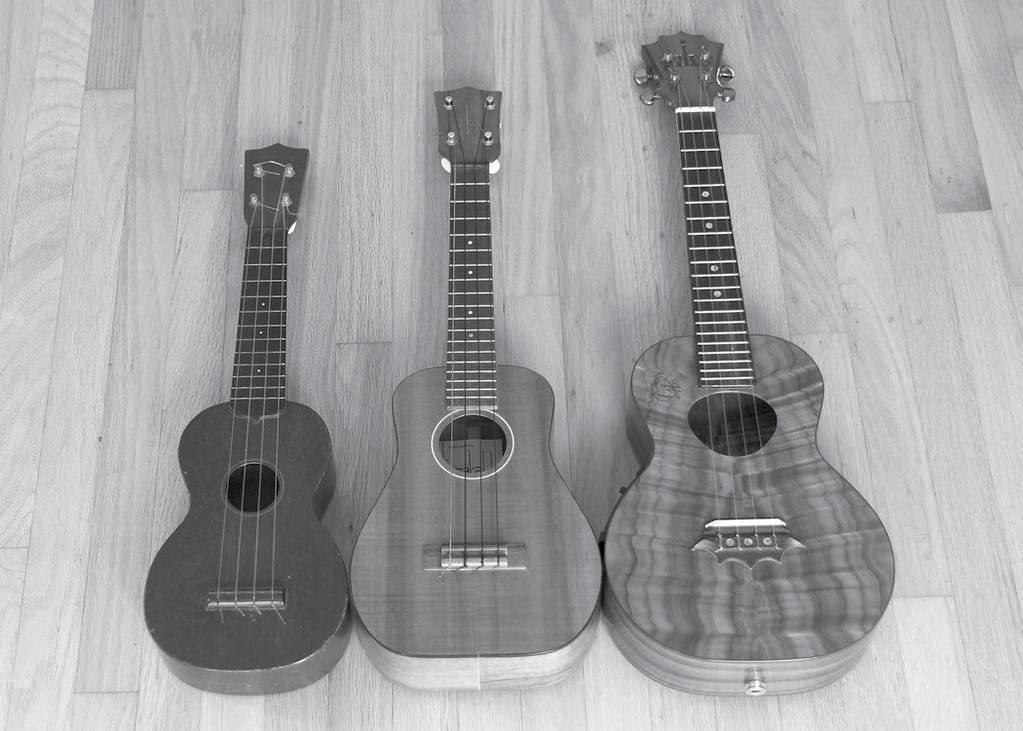 Ukulele Ohana Ohana means family Here are the most often seen sizes of ukuleles.