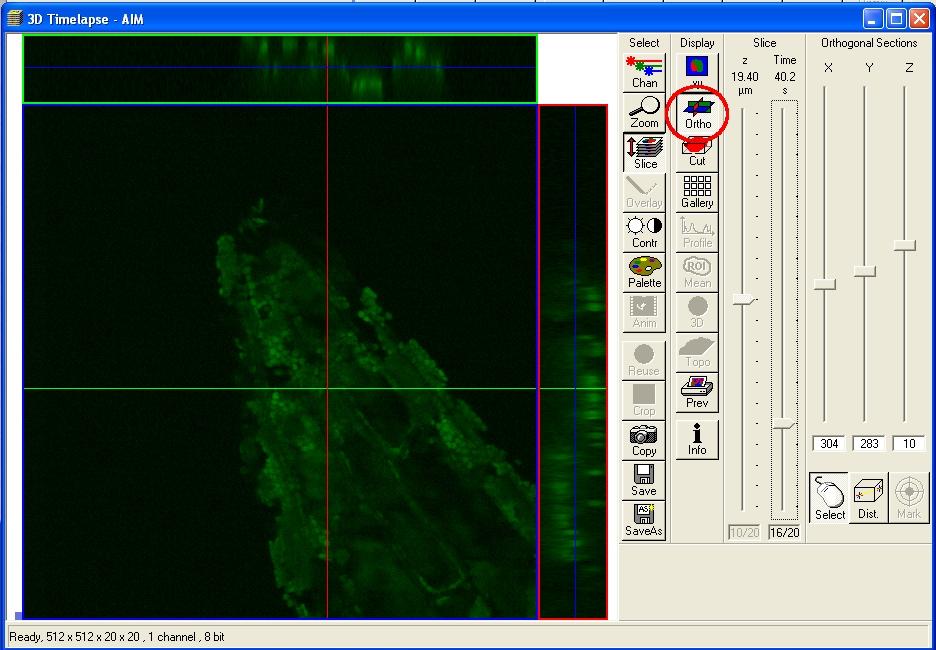 Figure 15 Ortho view Projections of stacks of images are often used for visualizing the data. In the main window, click 3D View (Figure 16).