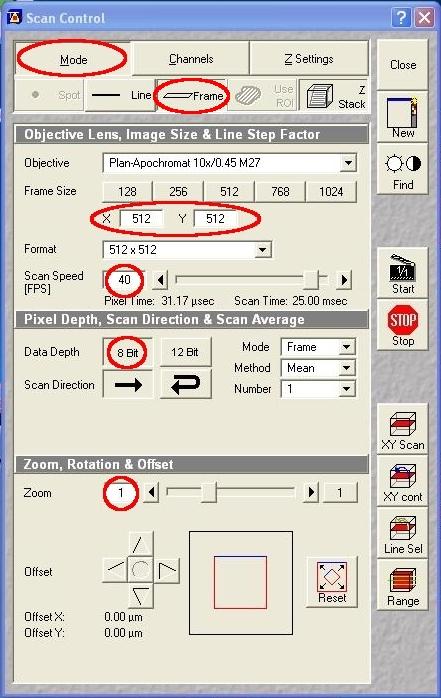the scan control window (Figure 7), to speed up final adjustments, make sure that: frame size is 512 x 512 scan speed is 40 fps data depth is 8 bits zoom control is 2.