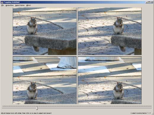 Once the point-of-interest has been selected and the preliminary croppings presented, the user can move the slider below the images to alter the zoom level of the images (Figures 8 and 9).