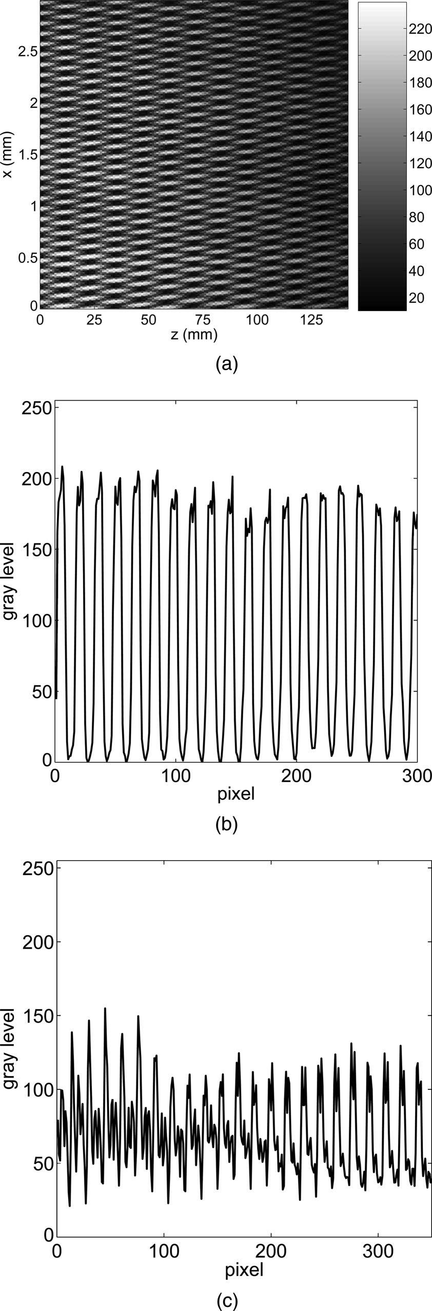Fig. 5. (a) Experimental intensity obtained after a diffraction grating (period 100 m) when it is illuminated with a monochromatic plane wave (wavelength 670 nm).
