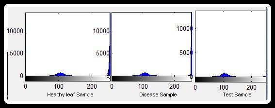these histograms is shown by the waiting bar in the MATLAB.
